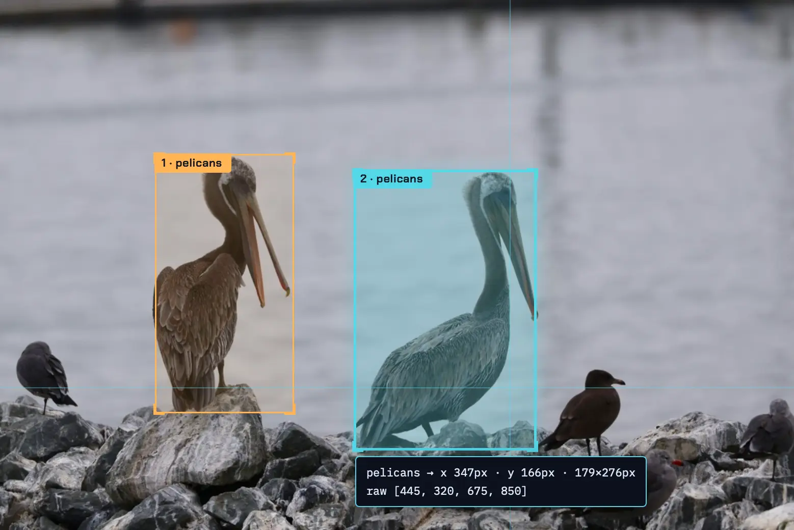Qwen 3.8 27Bが写真の中のペリカン2羽に正確なバウンディングボックスを描いた検証結果