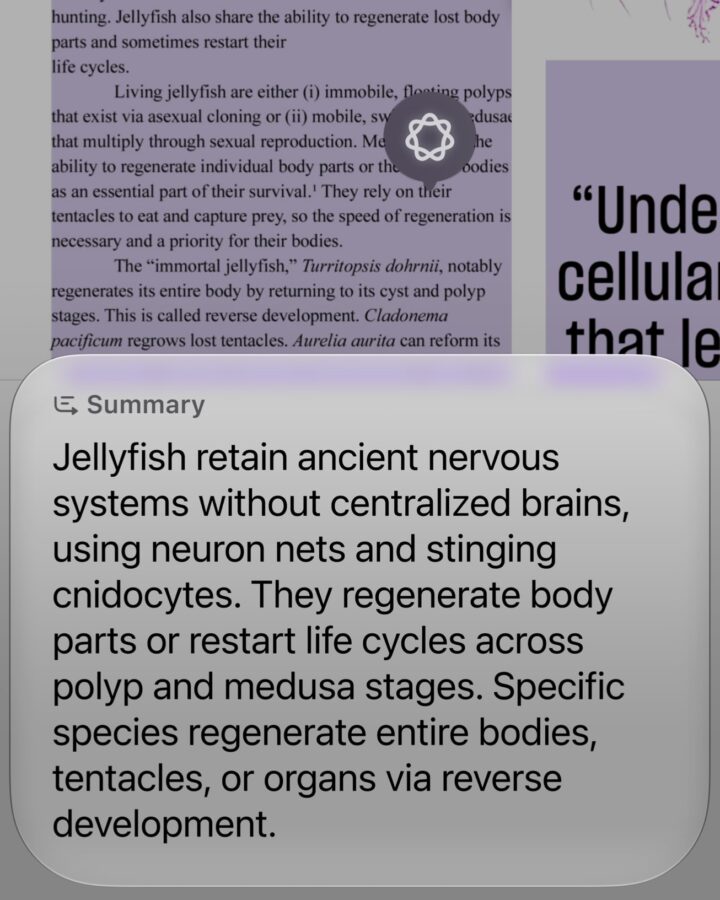 Siri AIが画面上の内容を理解して回答する様子