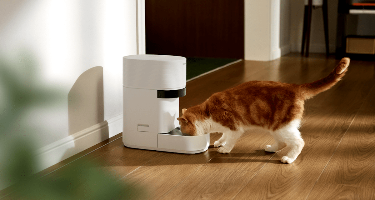 AI給餌器が猫を10匹まで個体識別｜EC事業者のAI家電3つの論点