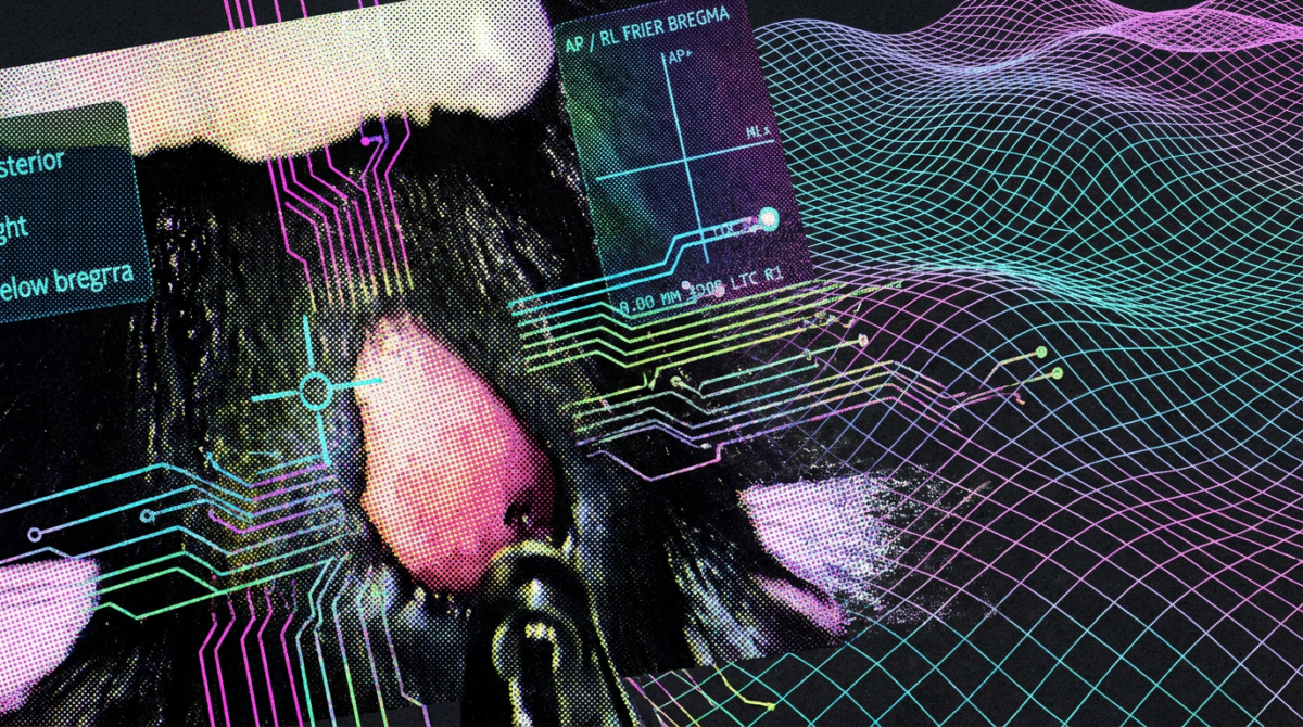 Claudeによるマウス脳手術の実験を伝えるThe Decoderの記事イメージ